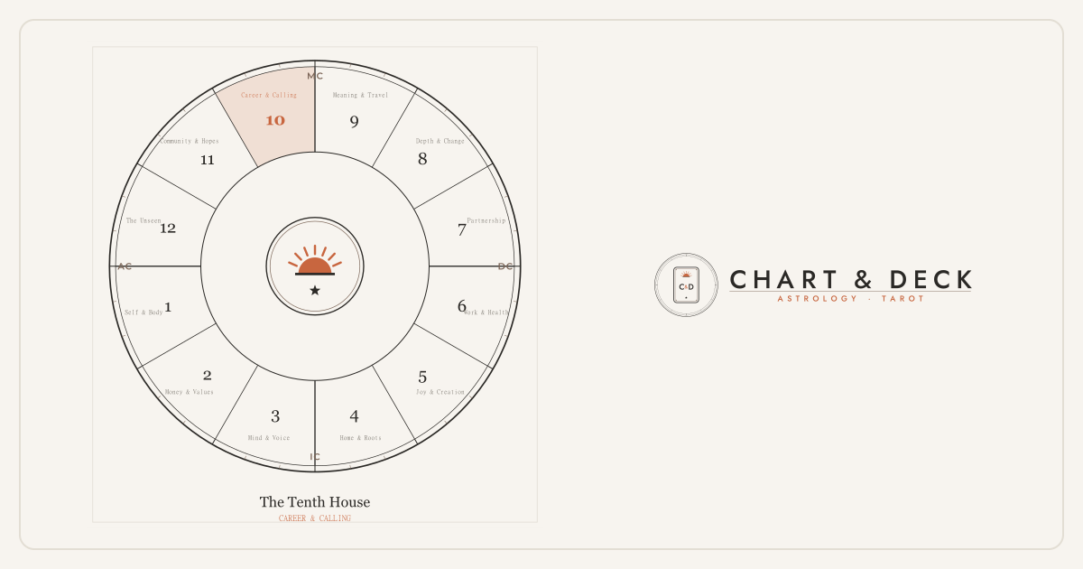 10th house in astrology: the wheel of twelve astrological houses with the 10th house highlighted
