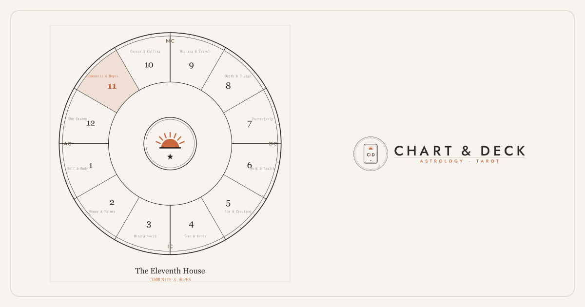 The 11th House in Astrology: Friendships, Community, Hopes & the Future 1 The wheel of twelve astrological houses with the 11th house highlighted