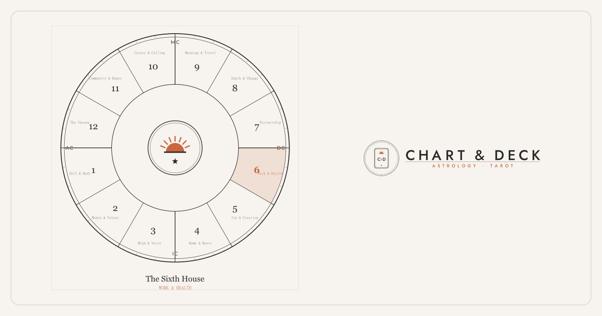 The 6th House in Astrology: Work, Routine, Health & Daily Habits 1 The wheel of twelve astrological houses with the 6th house highlighted